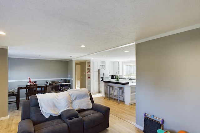 living room with crown molding, sink, light hardwood / wood-style floors, and a textured ceiling