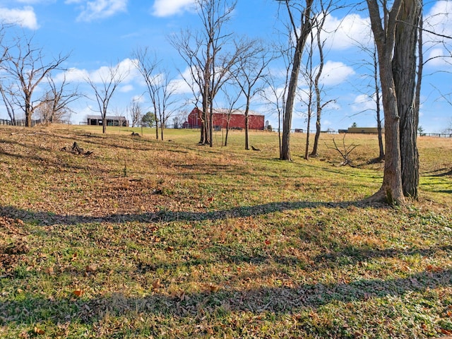 view of yard featuring a rural view