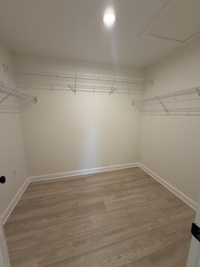 spacious closet featuring wood-type flooring