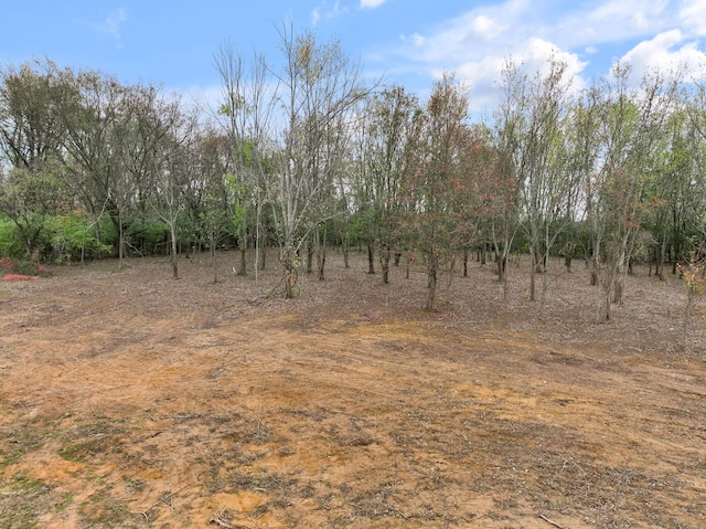 view of landscape with a rural view