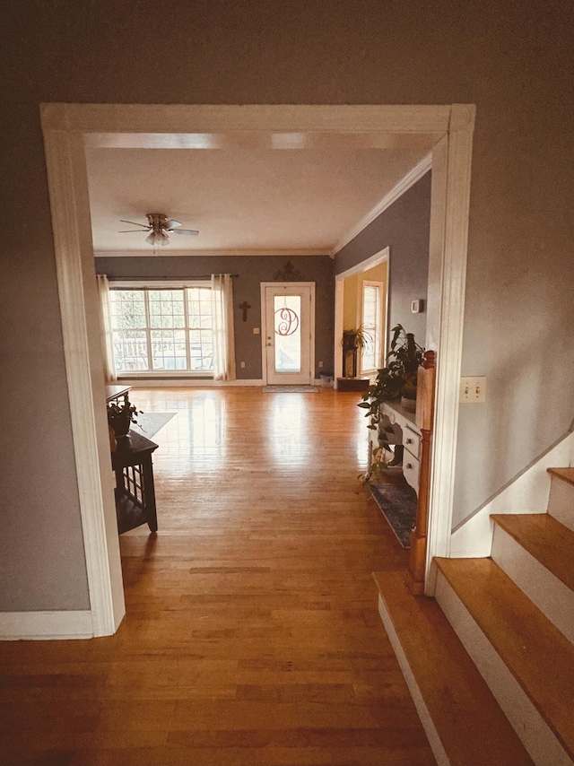 hall featuring hardwood / wood-style floors and ornamental molding