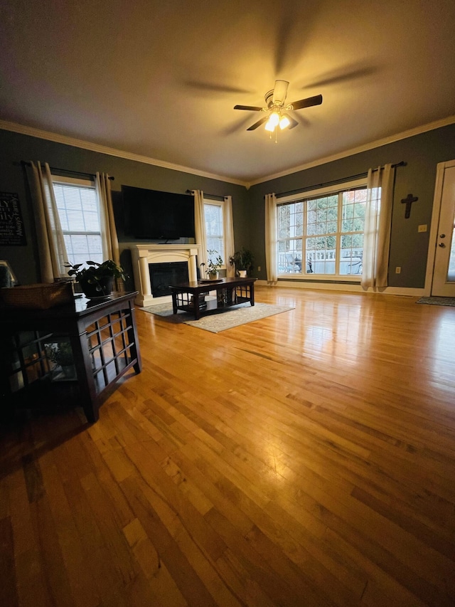 living room with hardwood / wood-style flooring, ceiling fan, a healthy amount of sunlight, and crown molding