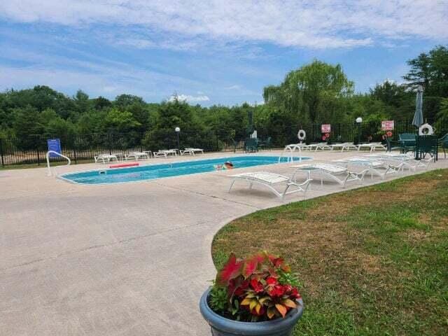 view of swimming pool featuring a lawn and a patio