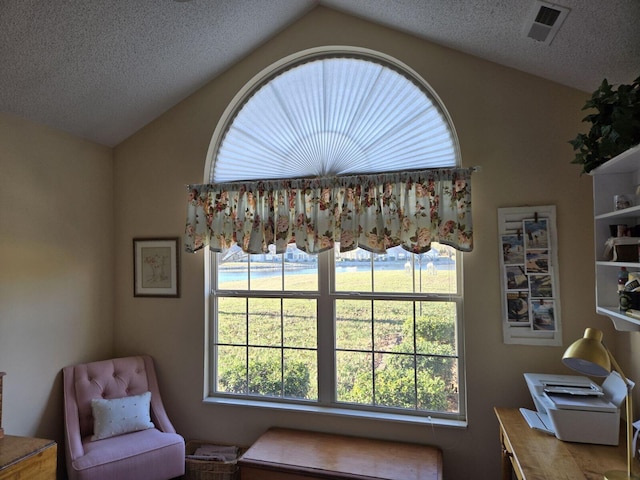 sitting room featuring lofted ceiling, a wealth of natural light, and a textured ceiling