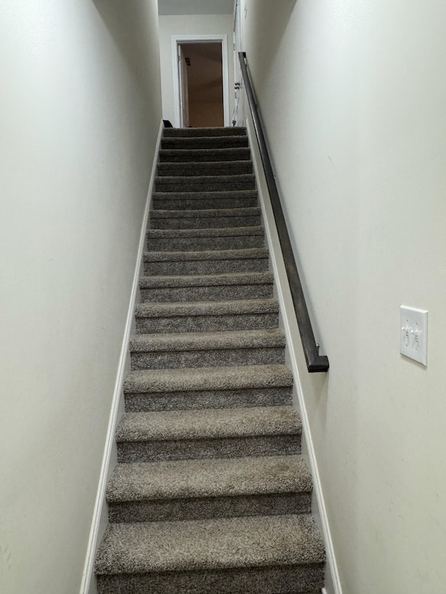 stairs with carpet flooring