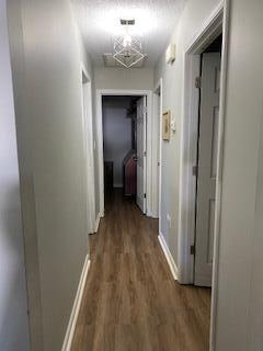 hall featuring dark hardwood / wood-style flooring