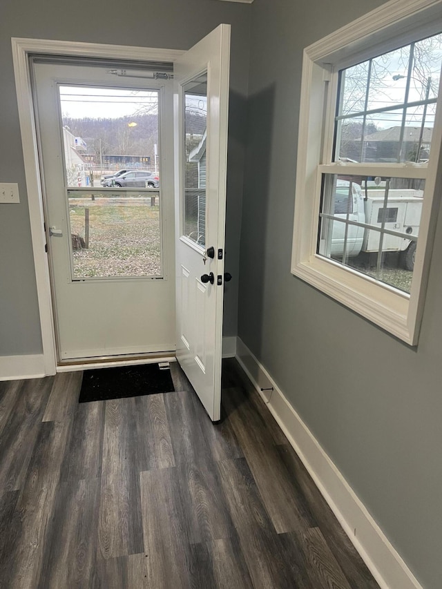 doorway featuring a wealth of natural light and dark hardwood / wood-style flooring