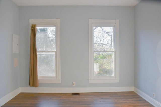 empty room featuring a wealth of natural light and dark wood-type flooring