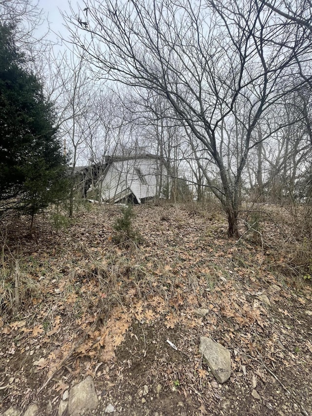 view of local wilderness