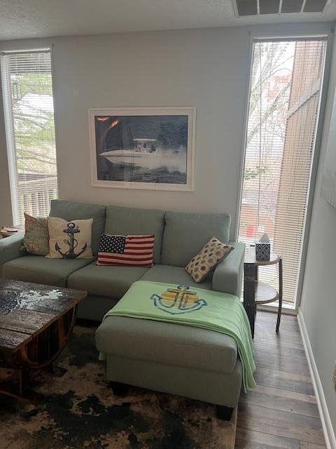 living room with wood-type flooring