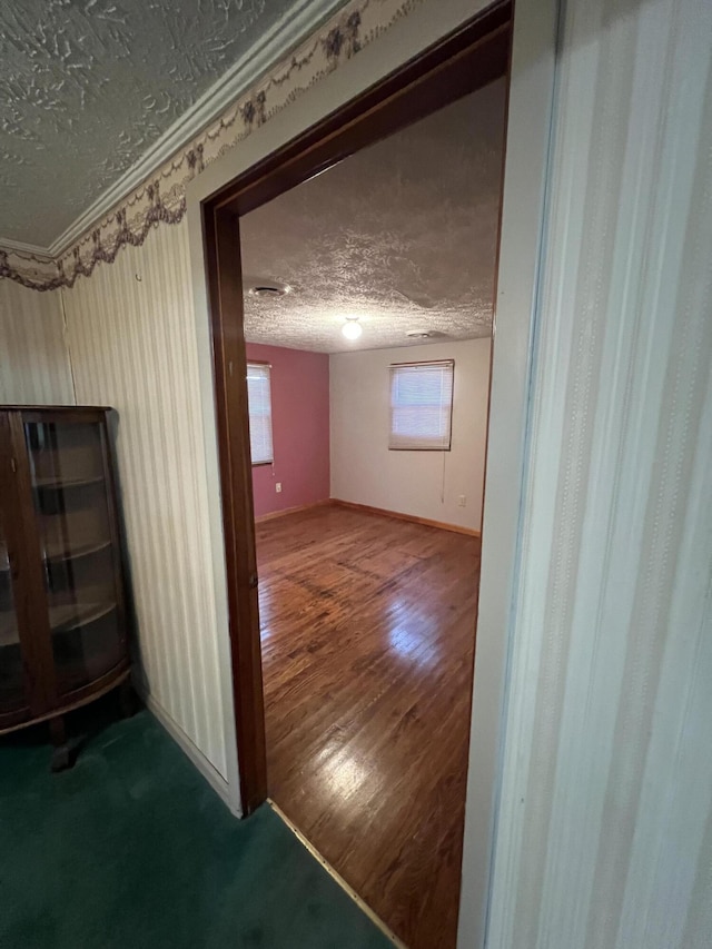 bonus room featuring hardwood / wood-style floors and a textured ceiling