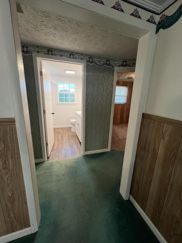 hall featuring wood walls, carpet floors, and a textured ceiling