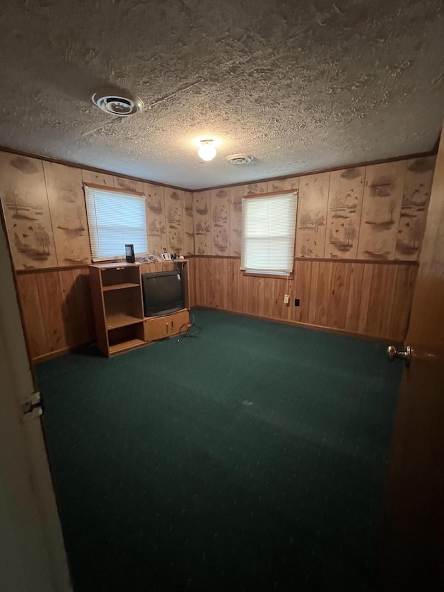 interior space with carpet, wood walls, and a textured ceiling