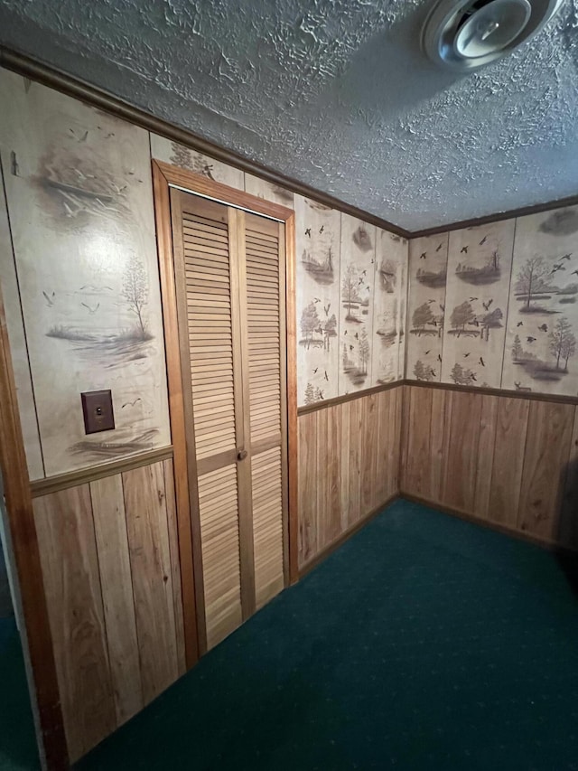 interior space featuring wood walls, carpet floors, and a textured ceiling