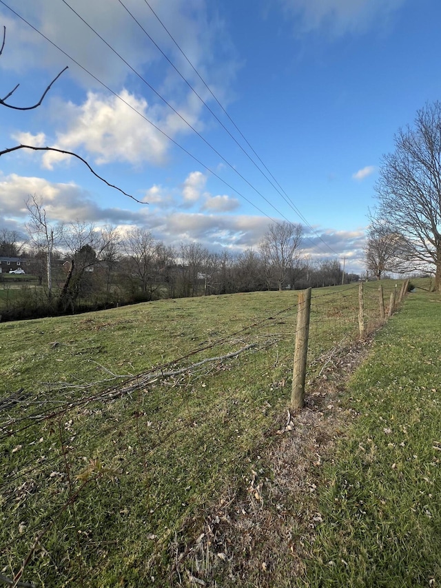 view of yard with a rural view