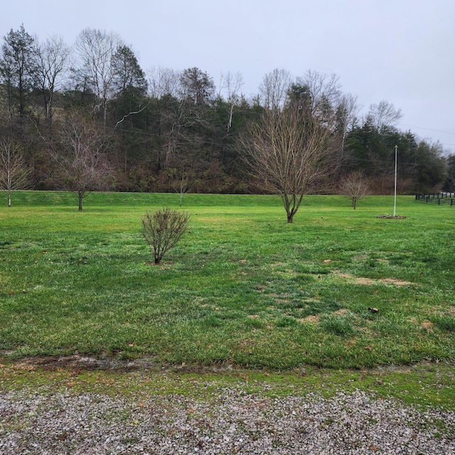 view of yard featuring a rural view