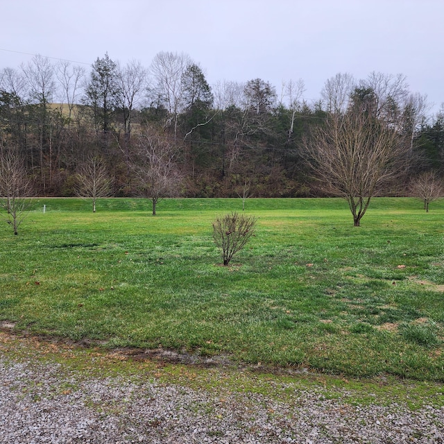 view of yard featuring a rural view