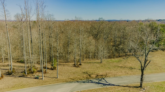 Listing photo 3 for 1938 S Shepola Rd, Nancy KY 42544