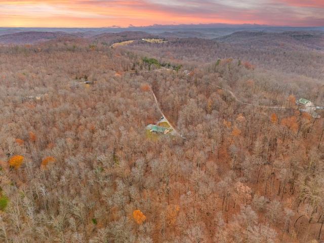 aerial view at dusk with a mountain view