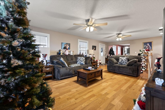 living room featuring ceiling fan, light hardwood / wood-style floors, and a textured ceiling