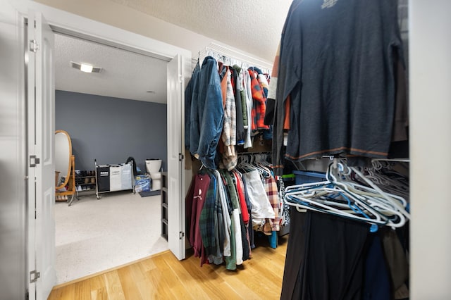 walk in closet featuring wood-type flooring