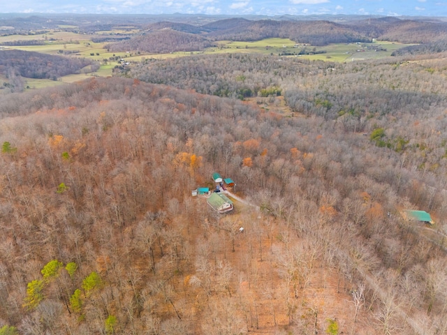 bird's eye view with a mountain view