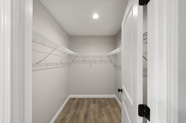 walk in closet with wood finished floors