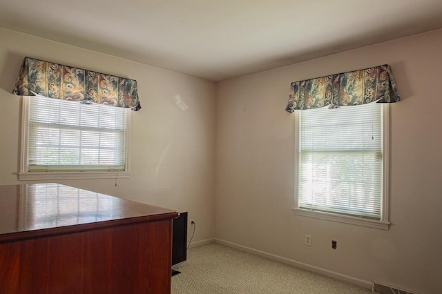 unfurnished office featuring light colored carpet