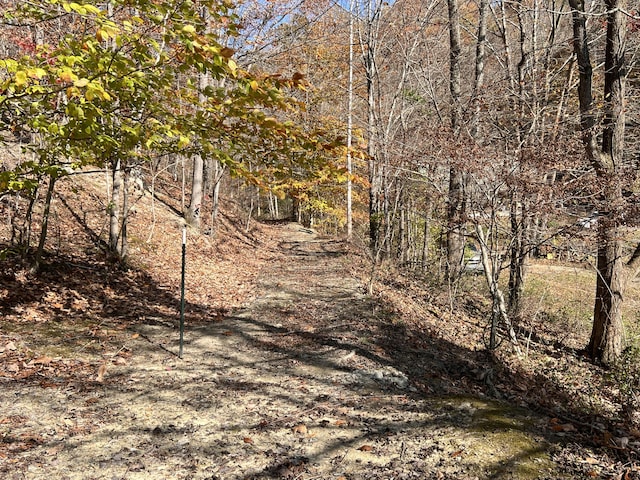 view of landscape