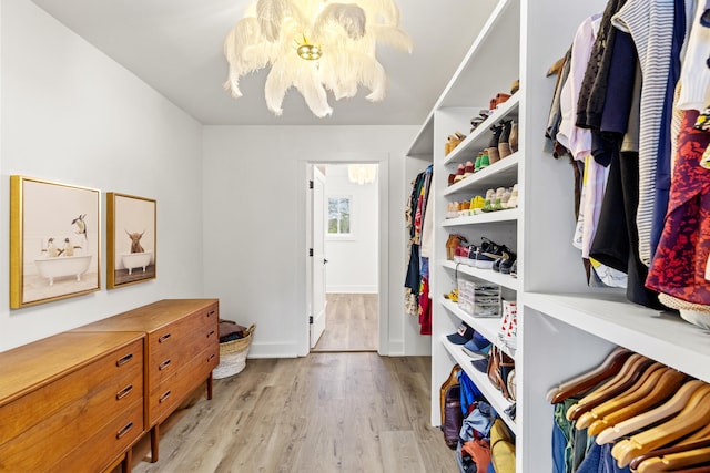 walk in closet with light hardwood / wood-style flooring