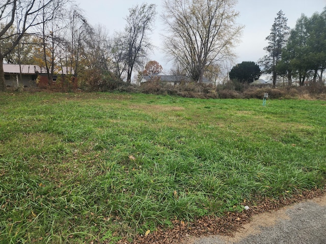 625 Hazel St, Science Hill KY, 42553 land for sale