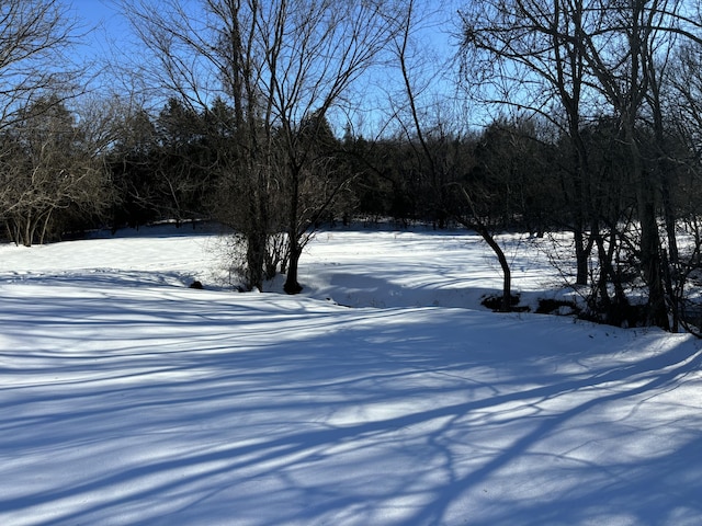 view of snowy yard