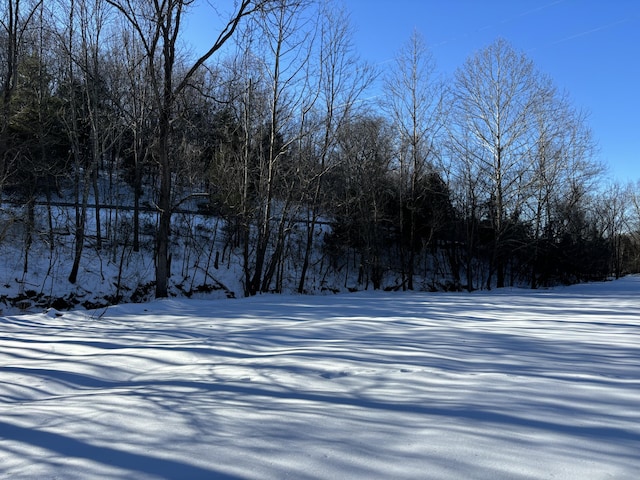 view of snowy yard