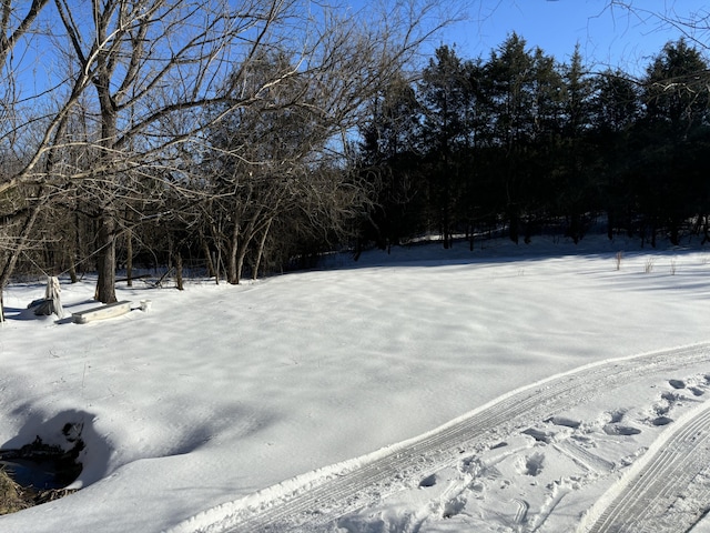 view of yard layered in snow