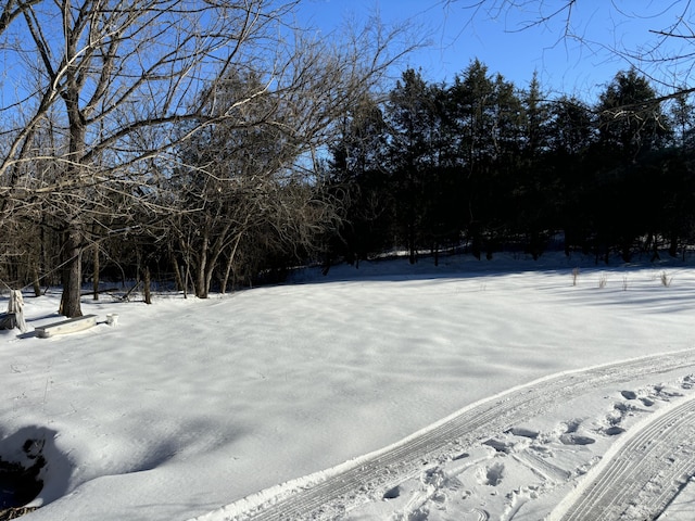 view of snowy yard