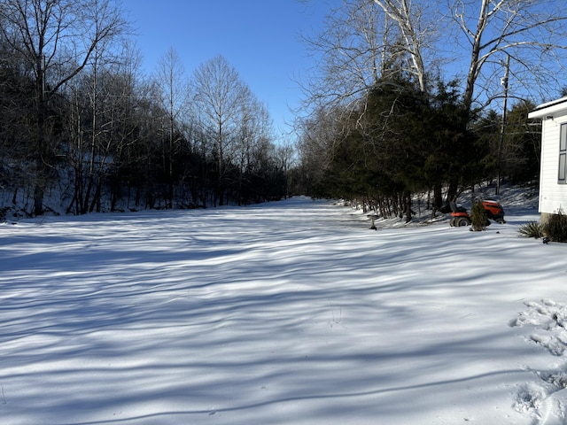 view of yard covered in snow