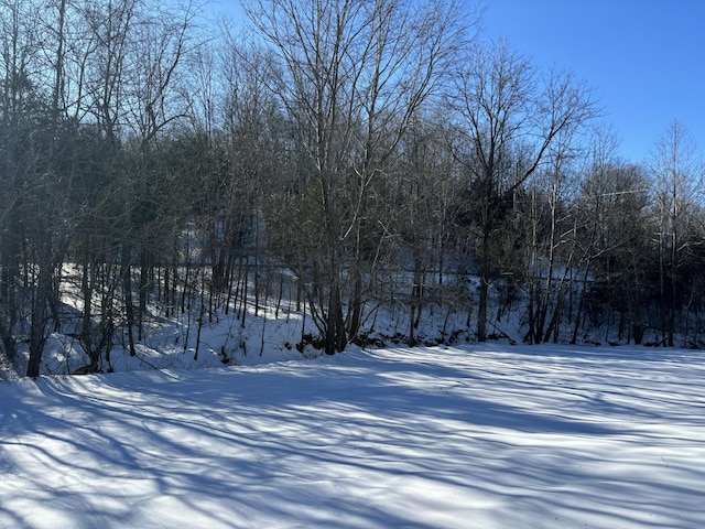 view of snowy yard