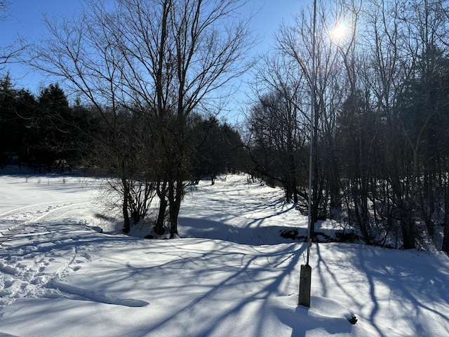 view of yard layered in snow