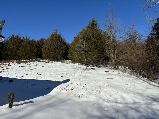 view of yard covered in snow