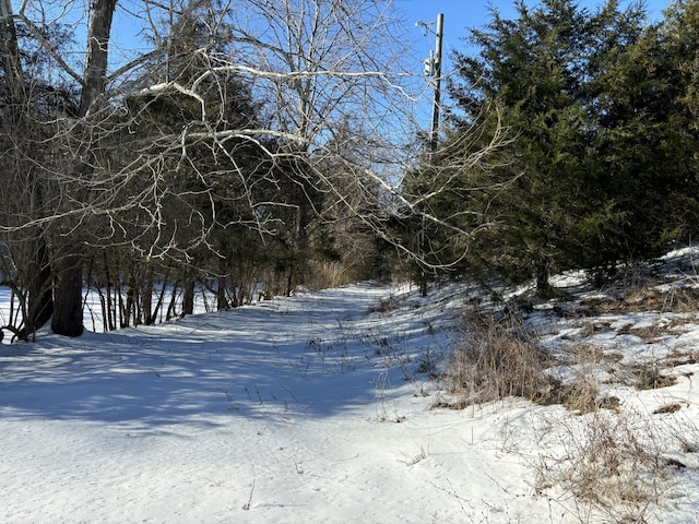 view of snowy view