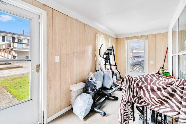 workout room with carpet flooring, a wealth of natural light, and wooden walls