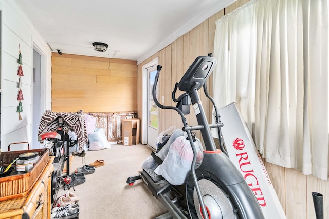 workout area featuring carpet flooring and wood walls