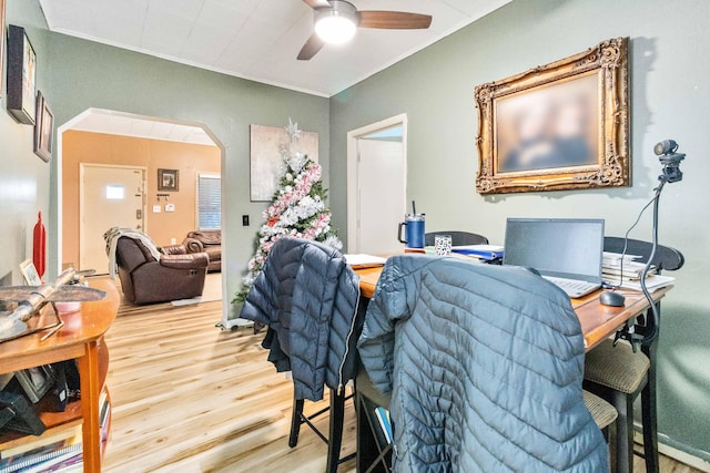 living room with ceiling fan and light hardwood / wood-style floors