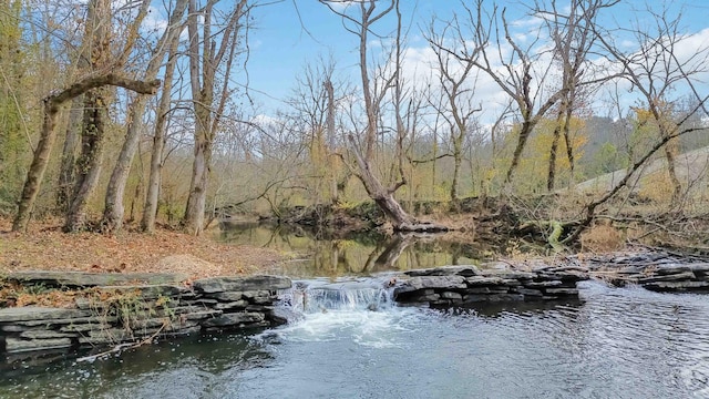 view of water feature