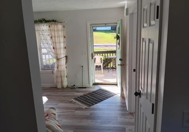 doorway with hardwood / wood-style floors