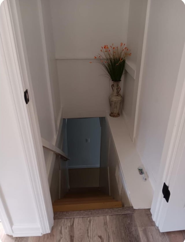 stairway with hardwood / wood-style floors