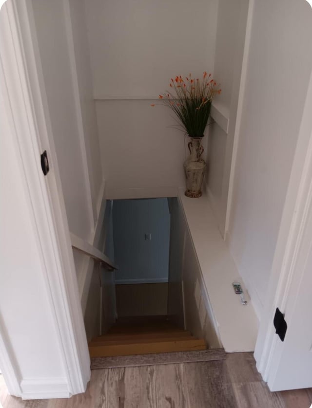 stairway featuring wood finished floors