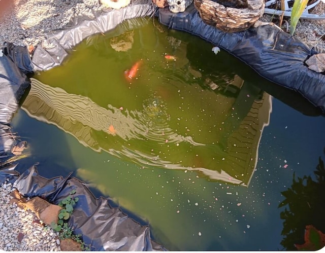bird's eye view featuring a garden pond