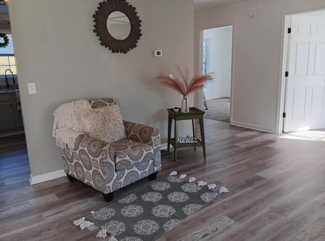 living area with dark hardwood / wood-style flooring and sink