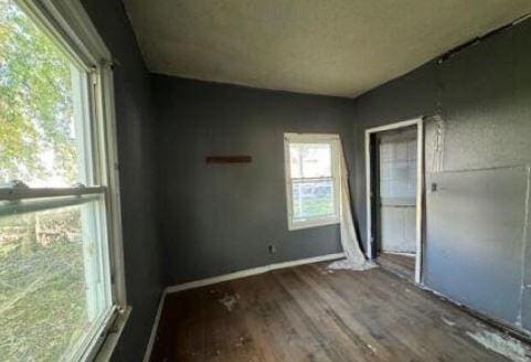 unfurnished bedroom featuring wood-type flooring